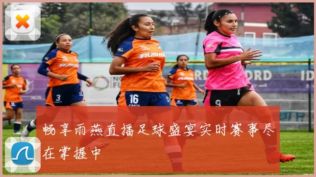 畅享雨燕直播足球盛宴实时赛事尽在掌握中