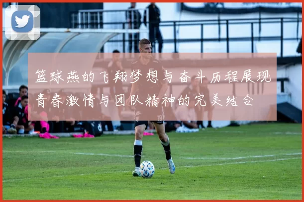 篮球燕的飞翔梦想与奋斗历程展现青春激情与团队精神的完美结合
