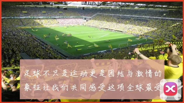足球不只是运动更是团结与激情的象征让我们共同感受这项全球最受欢迎的运动魅力